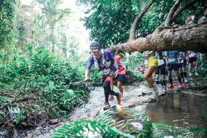 BIB: 
                            <button type="button" onclick="openModal(25455818)" class="btn btn-primary btn-sm float-right btn-popup" data-toggle="modal" data-target=".modal-high-quality">
                        <i class="fas fa-shopping-cart"></i> Add to Cart
                    </button>
                                            <button type="button" onclick="isThisMe(25455818, true)" class="btn btn-success btn-sm float-right btn-popup btn-isme hidden" data-toggle="tooltip" data-placement="bottom" title="นี่คือรูปของคุณใช่ไหม คลิกที่นี่เพื่อเอาเข้าอัลบั้ม">
                        <i class="fas fa-plus"></i> Add to album
                    </button>
                    <button type="button" onclick="isThisMe(25455818, false)" class="btn btn-warning btn-sm float-right btn-popup btn-isnotme hidden">
                        <i class="fas fa-ban"></i> Remove from album
                    </button>